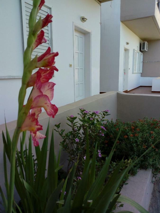 Yannis Apartments Amoudara Lasithiou Extérieur photo