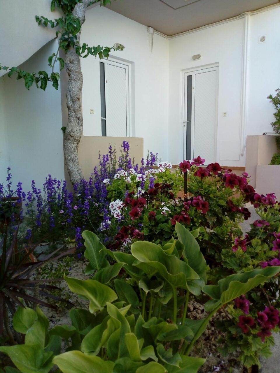 Yannis Apartments Amoudara Lasithiou Extérieur photo